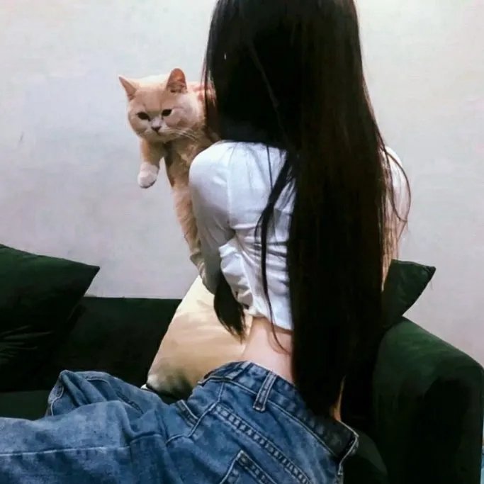 神偷燕子李三